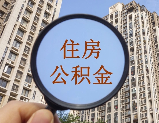 大丰退休后查不到公积金明细了吗（退休后公积金查询不到原因）